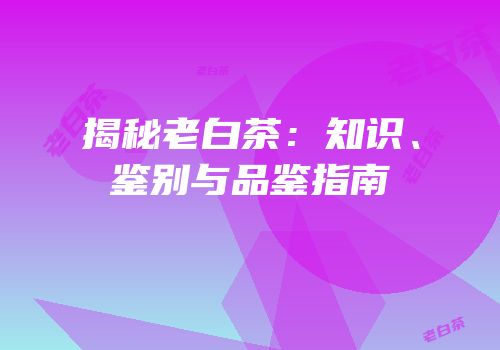 揭秘老白茶：知识、鉴别与品鉴指南