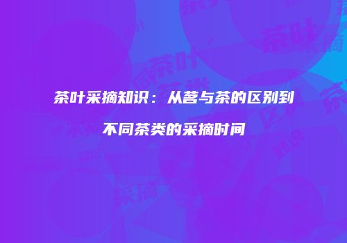 茶叶采摘知识：从茗与茶的区别到不同茶类的采摘时间