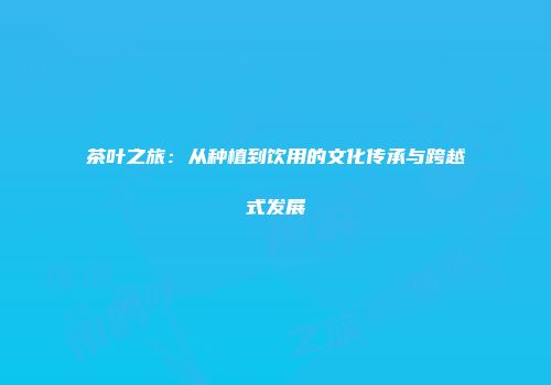 茶叶之旅：从种植到饮用的文化传承与跨越式发展