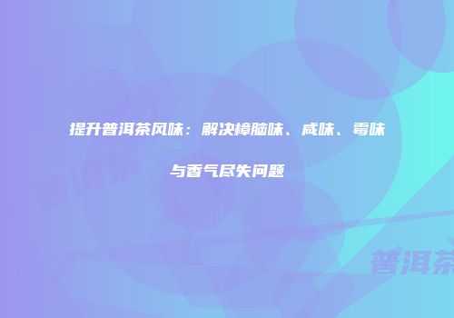 提升普洱茶风味：解决樟脑味、咸味、霉味与香气尽失问题