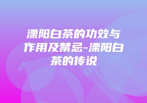 溧阳白茶的功效与作用及禁忌-溧阳白茶的传说