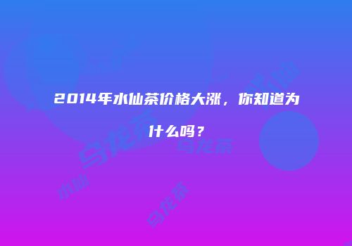 2014年水仙茶价格大涨，你知道为什么吗？