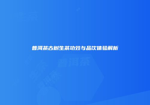 普洱茶古树生茶功效与品饮体验解析