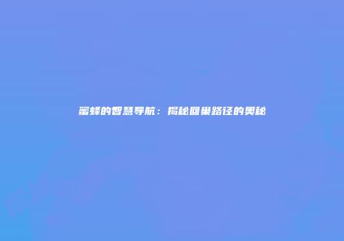 蜜蜂的智慧导航：揭秘回巢路径的奥秘