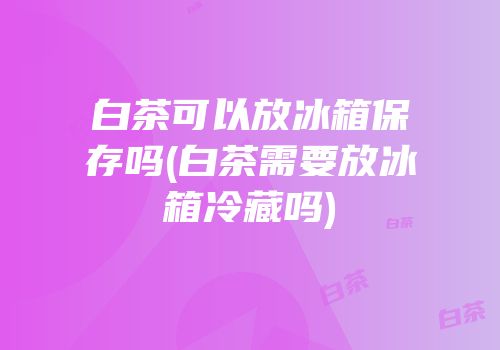 白茶可以放冰箱保存吗(白茶需要放冰箱冷藏吗)