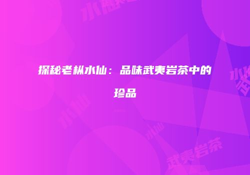 探秘老枞水仙：品味武夷岩茶中的珍品