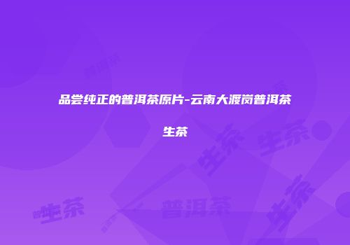品尝纯正的普洱茶原片-云南大渡岗普洱茶生茶