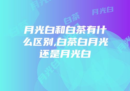 月光白和白茶有什么区别,白茶白月光还是月光白