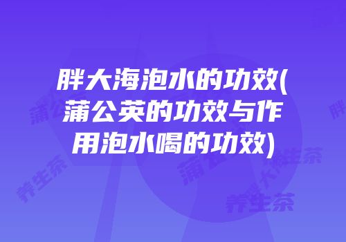 胖大海泡水的功效(蒲公英的功效与作用泡水喝的功效)
