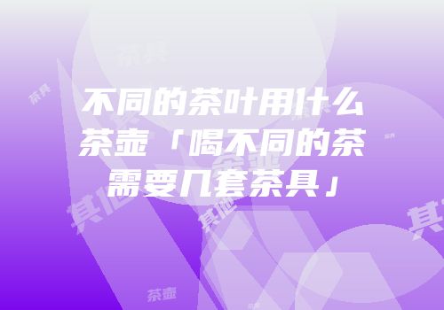 不同的茶叶用什么茶壶「喝不同的茶需要几套茶具」