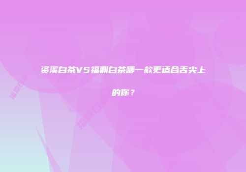 资溪白茶VS福鼎白茶哪一款更适合舌尖上的你？