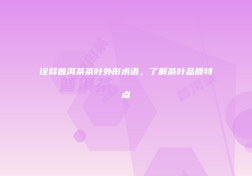 诠释普洱茶茶叶外形术语，了解茶叶品质特点