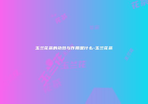 玉兰花茶的功效与作用是什么-玉兰花茶