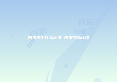 白茶都用什么压饼_白茶怎么压饼