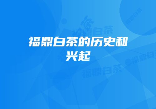 福鼎白茶的历史和兴起