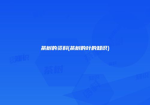 茶树的资料(茶树的叶的知识)