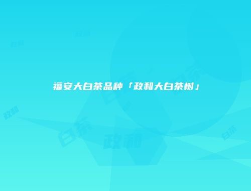 福安大白茶品种「政和大白茶树」