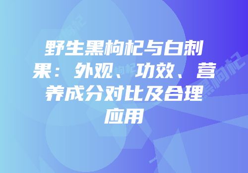 野生黑枸杞与白刺果：外观、功效、营养成分对比及合理应用
