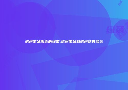 杭州东站附近的绿茶,杭州东站到杭州站有多远