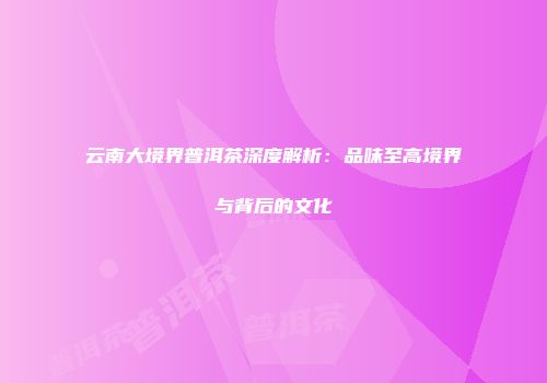 云南大境界普洱茶深度解析：品味至高境界与背后的文化