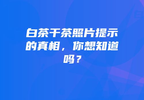 白茶干茶照片提示的真相，你想知道吗？