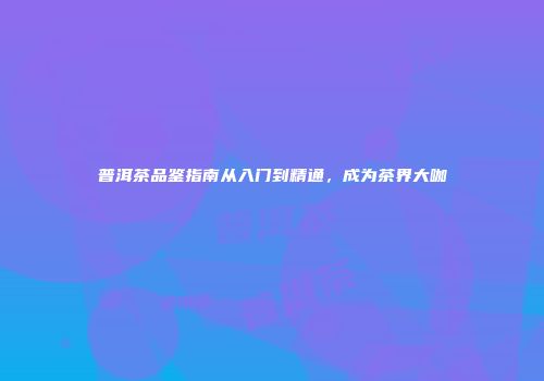 普洱茶品鉴指南从入门到精通，成为茶界大咖
