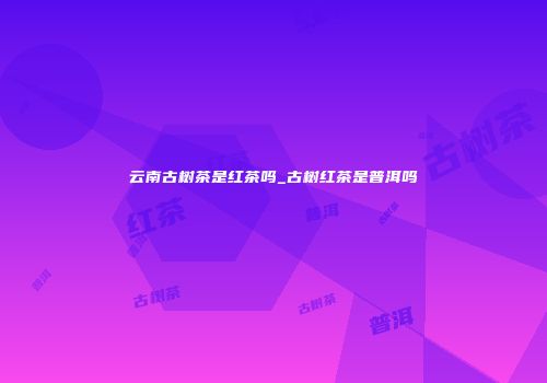 云南古树茶是红茶吗_古树红茶是普洱吗