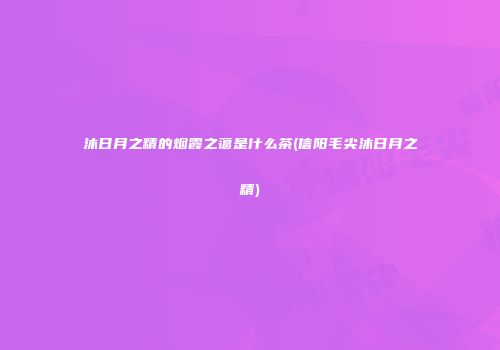 沐日月之精的烟霞之蔼是什么茶(信阳毛尖沐日月之精)