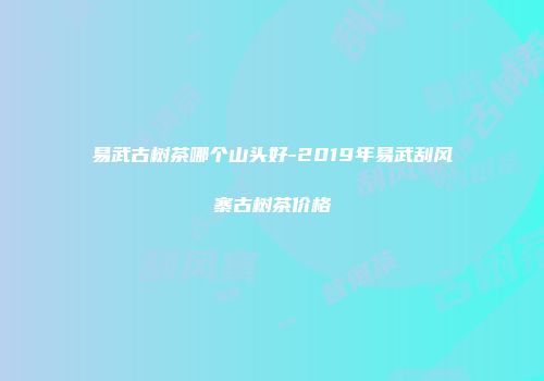 易武古树茶哪个山头好-2019年易武刮风寨古树茶价格