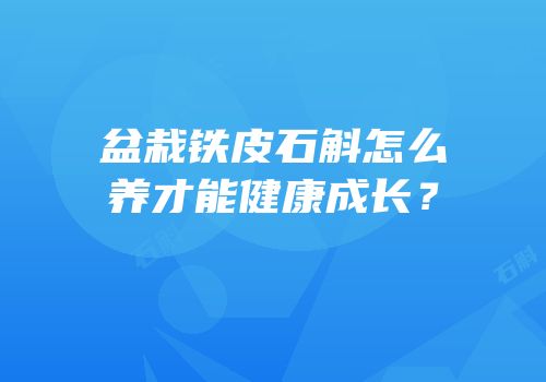 盆栽铁皮石斛怎么养才能健康成长？
