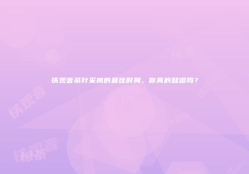 铁观音茶叶采摘的最佳时间，你真的知道吗？