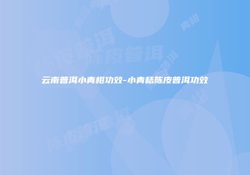 云南普洱小青柑功效-小青桔陈皮普洱功效
