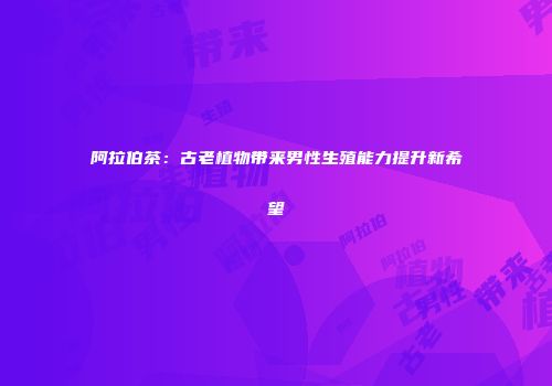 阿拉伯茶：古老植物带来男性生殖能力提升新希望