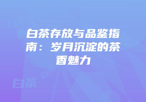 白茶存放与品鉴指南：岁月沉淀的茶香魅力