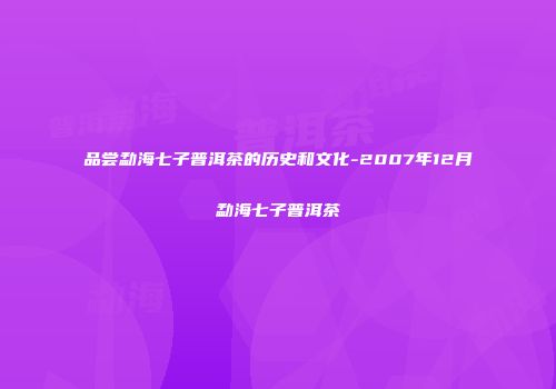 品尝勐海七子普洱茶的历史和文化-2007年12月勐海七子普洱茶
