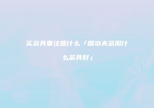 买茶具要注意什么「喝功夫茶用什么茶具好」