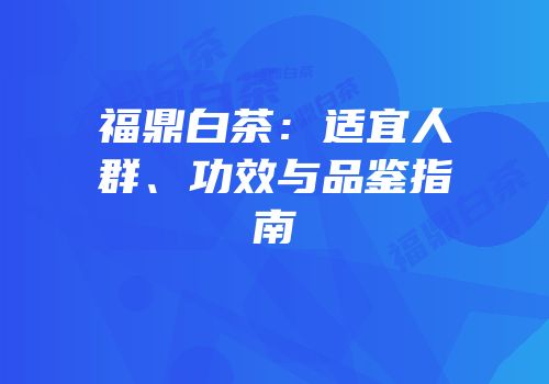 福鼎白茶：适宜人群、功效与品鉴指南