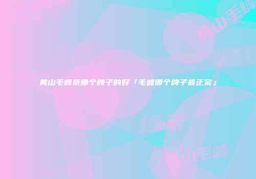 黄山毛峰茶哪个牌子的好「毛峰哪个牌子最正宗」
