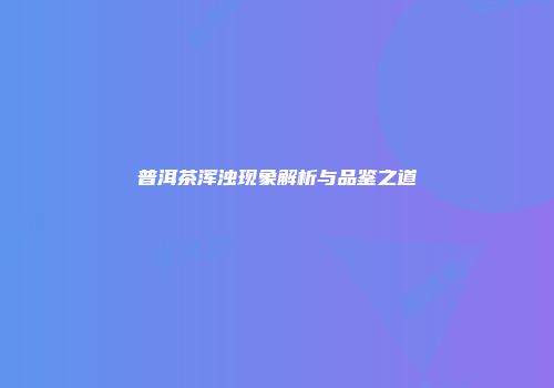 普洱茶浑浊现象解析与品鉴之道