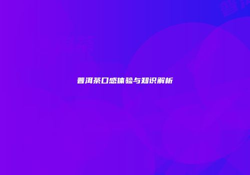 普洱茶口感体验与知识解析