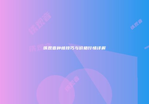 铁观音种植技巧与价格行情详解