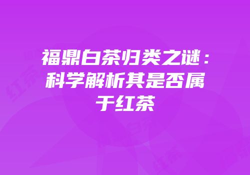 福鼎白茶归类之谜：科学解析其是否属于红茶