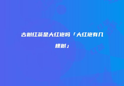 古树红茶是大红袍吗「大红袍有几棵树」