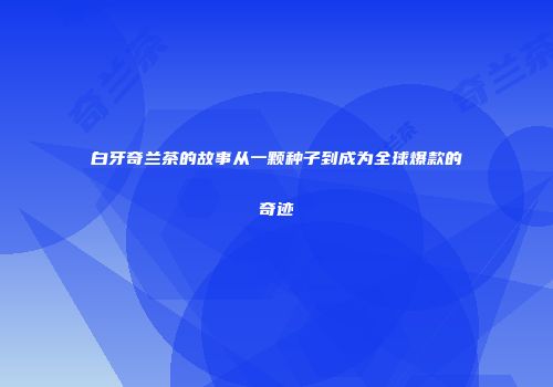 白牙奇兰茶的故事从一颗种子到成为全球爆款的奇迹
