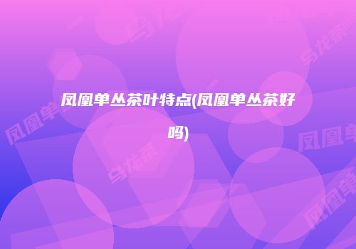 凤凰单丛茶叶特点(凤凰单丛茶好吗)