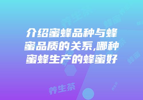 介绍蜜蜂品种与蜂蜜品质的关系,哪种蜜蜂生产的蜂蜜好
