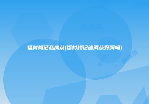 福村梅记私房茶(福村梅记普洱茶好喝吗)