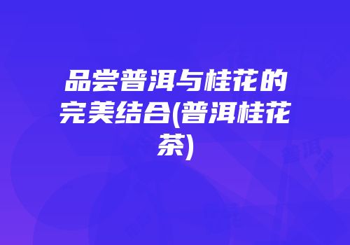品尝普洱与桂花的完美结合(普洱桂花茶)