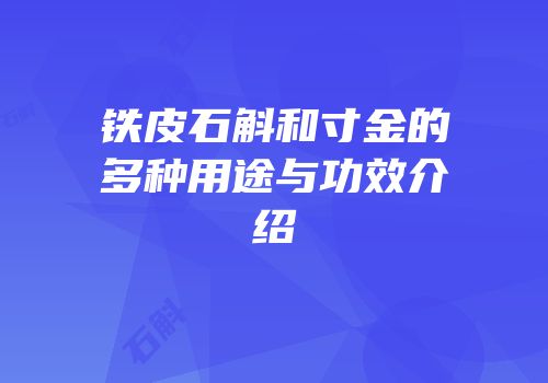 铁皮石斛和寸金的多种用途与功效介绍