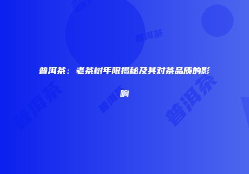 普洱茶：老茶树年限揭秘及其对茶品质的影响